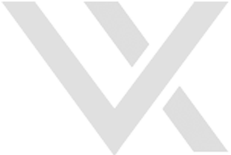 Vx Group Logo
